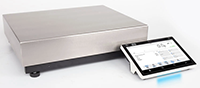 RADWAG PM 5Y 60 Gram (g) Capacity Ellipsis Series Heavy Capacity Precision Balance