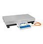 RADWAG PM C32 60 Kilogram (kg) Capacity Heavy Capacity Precision Balance