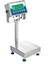 Adam Equipment 16 Pound (lb) Capacity and 9.8 x 9. 8 Inch (in) Pan Size Gladiator® Washdown Checkweigh Scale