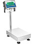 Adam Equipment 65 Pound (lb) Capacity and 15.7 x 11.8 Inch (in) Pan Size Gladiator® Washdown Checkweigh Scale