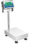Adam Equipment 165 Pound (lb) Capacity and 15.7 x 11.8 Inch (in) Pan Size Gladiator® Washdown Checkweigh Scale