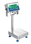 Adam Equipment 30 Pound (lb) Capacity and 9.8 x 9.8 Inch (in) Pan Size Gladiator® NTEP Washdown Checkweighing Scale