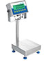 Adam Equipment 60 Pound (lb) Capacity and 9.8 x 9.8 Inch (in) Pan Size Gladiator® NTEP Washdown Checkweighing Scale