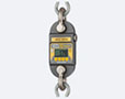 crane-scales