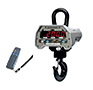 CAS-USA Caston II PLUS Standard Enabled Crane Scales